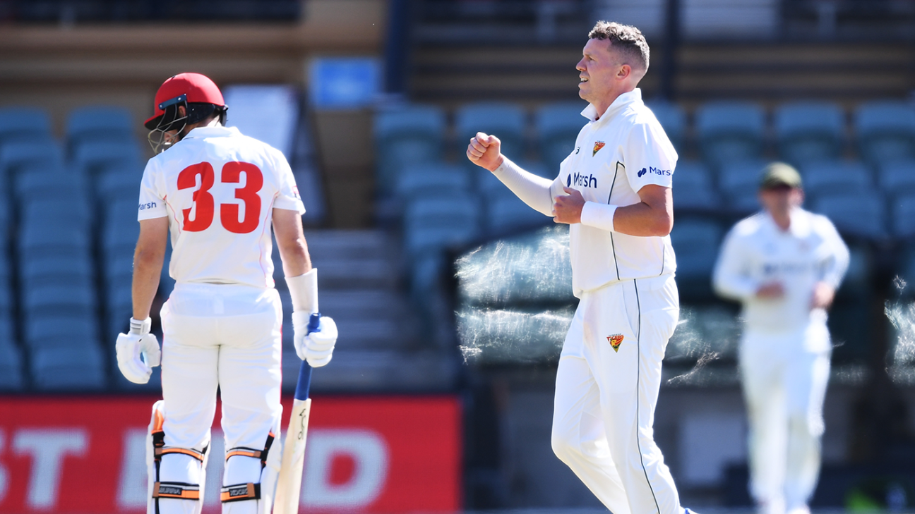 Bird and Siddle cut through South Australia, but Manenti provides boost