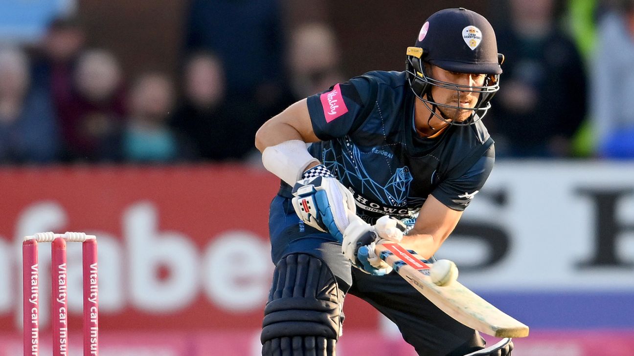 Leus du Plooy replaces Billy Godleman as Derbyshire captain