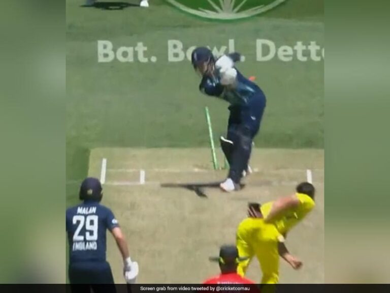 Mitchell Starc Bamboozles Jason Roy With “Trademark Inswinger” In 1st ODI. Watch | Cricket News