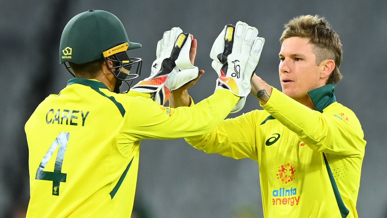 Gutted Zampa to reassess red-ball future after missing India tour