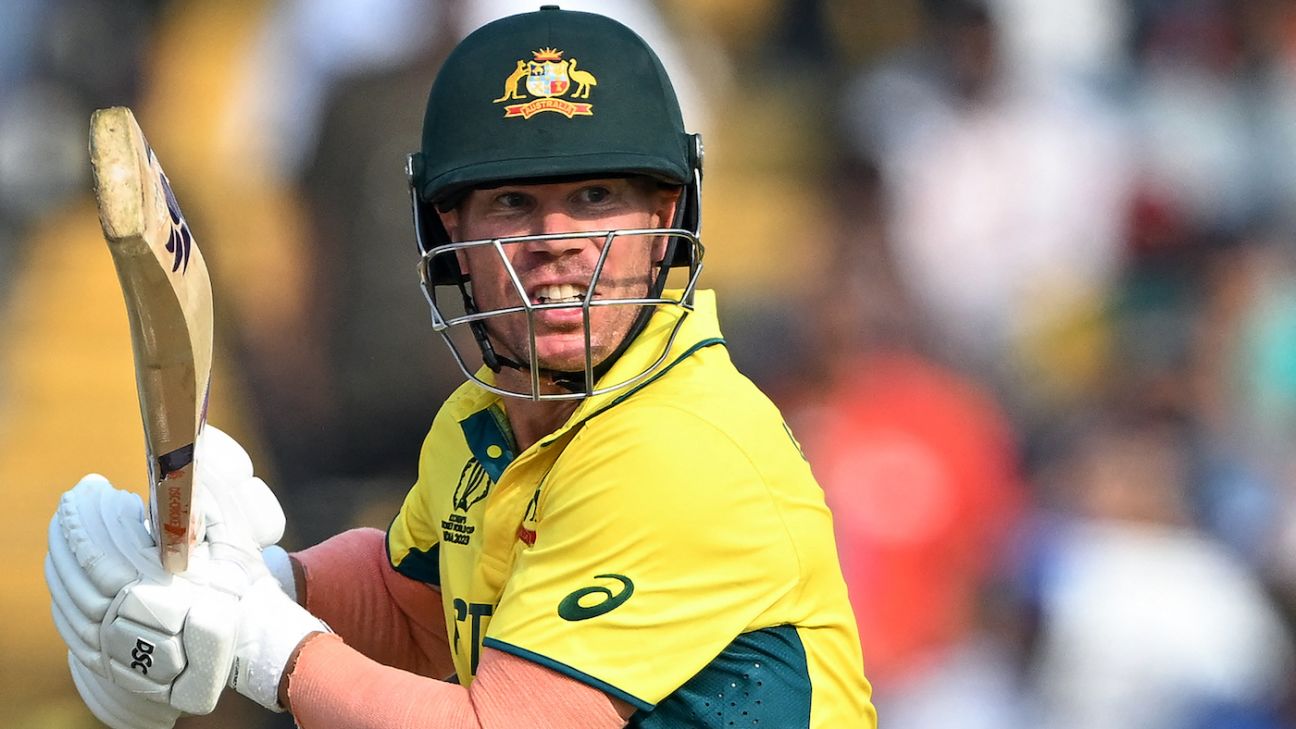 Warner to miss T20I series against India after World Cup triumph