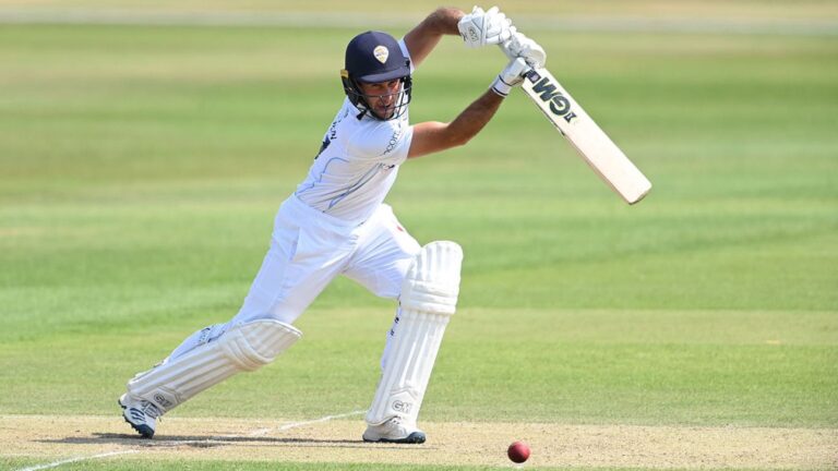 Wayne Madsen halts Leicestershire’s charge for victory