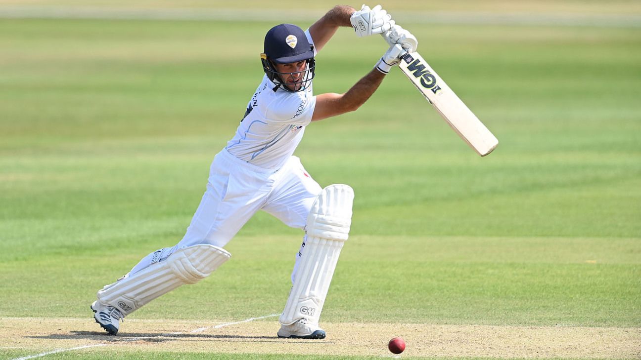 Wayne Madsen halts Leicestershire's charge for victory
