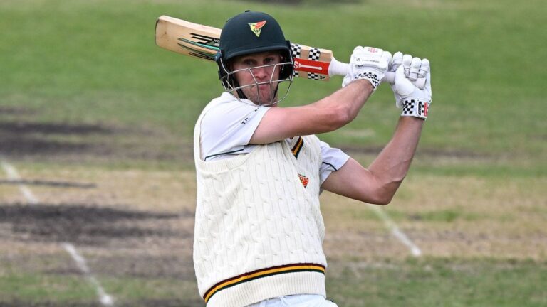 Beau Webster fireworks cap allround debut in high-scoring draw