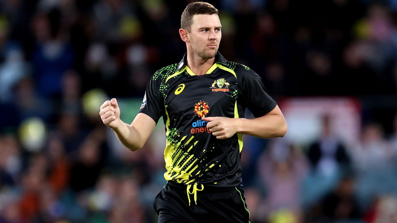Hazlewood and Warner star for nine-man Australia as coaches pitch in as subs