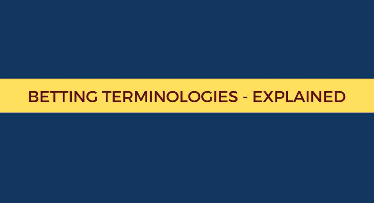 Betting Terminology for Fans of Cricket - CricIndeed