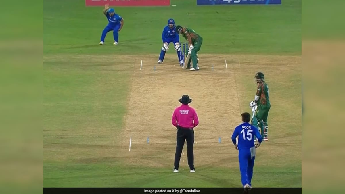 T20 World Cup: Afghanistan Accused Of 'Cheating' After Act Gets Caught On Camera. R Ashwin Reacts | Cricket News