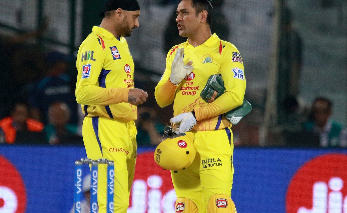 Harbhajan Singh Furious As Pakistan Journalist Asks "Who's Better, MS Dhoni Or Mohammad Rizwan?" | Cricket News
