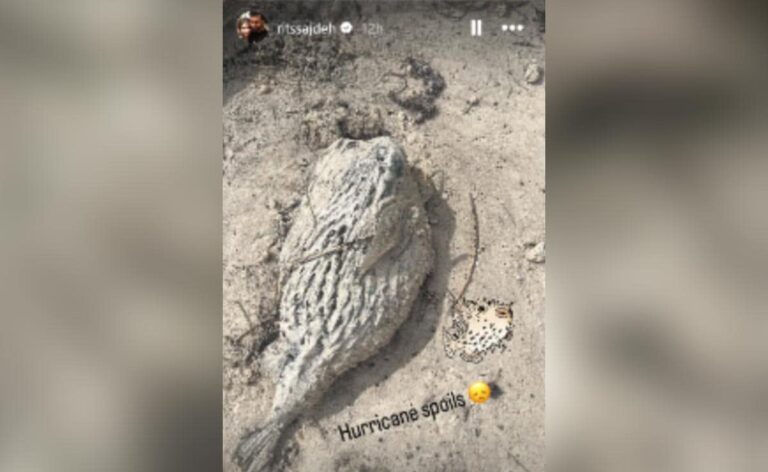 Rohit Sharma’s Wife Ritika Sajdeh Shares Heart-Wrenching Pics Of Hurricane From Barbados | Cricket News