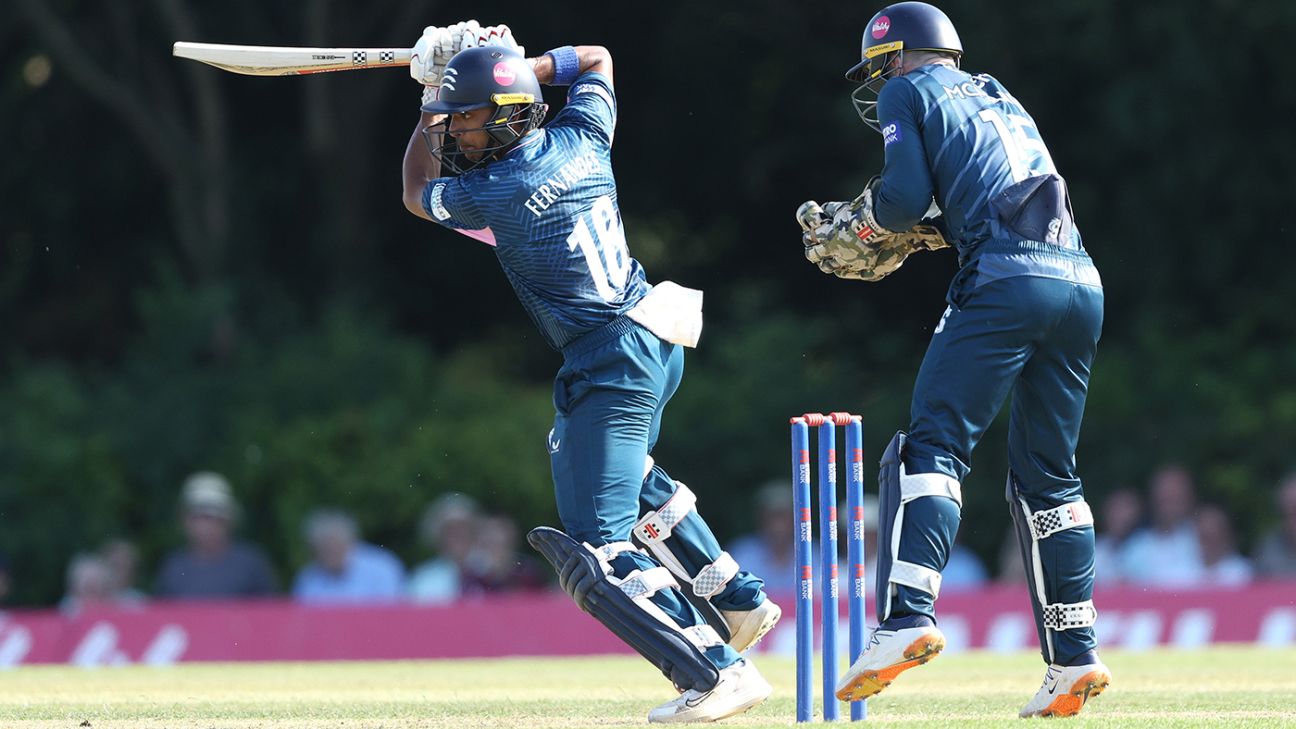 Stoneman, Fernandes star as Middlesex hunt down 318 at Radlett