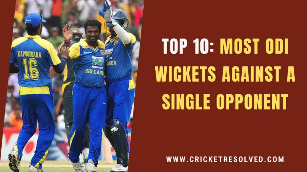 Cricket News Bulletin