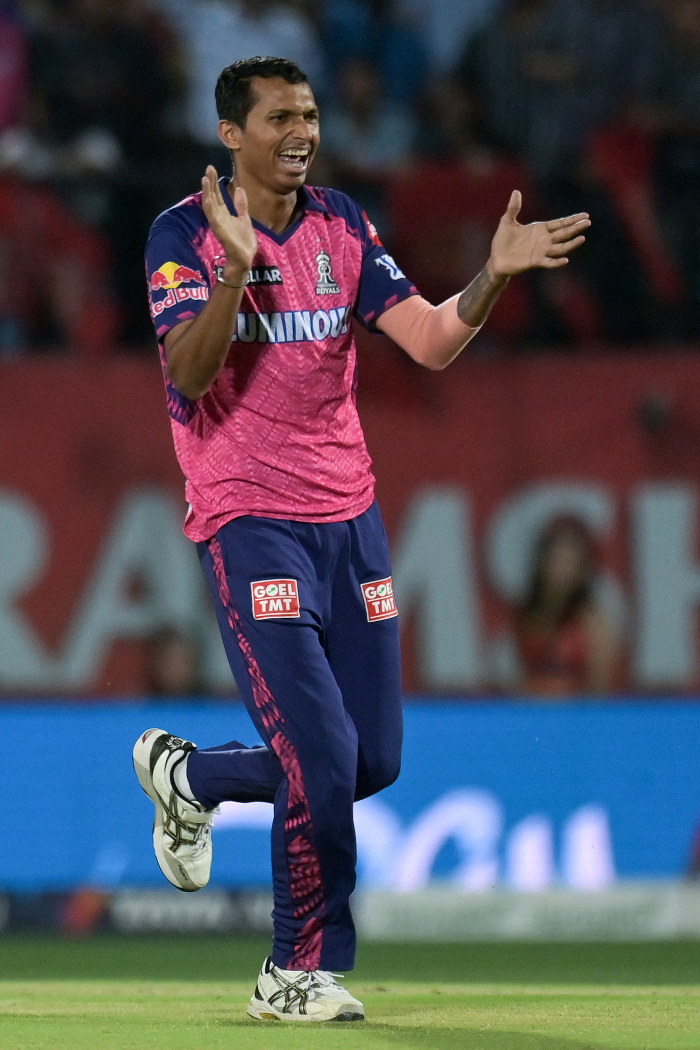 Cricket News Bulletin