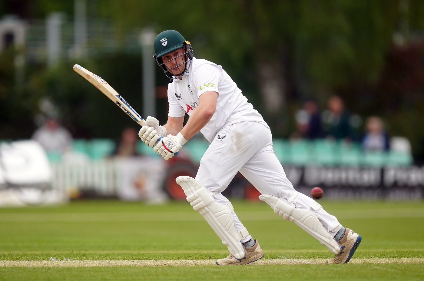 Cricket News Bulletin