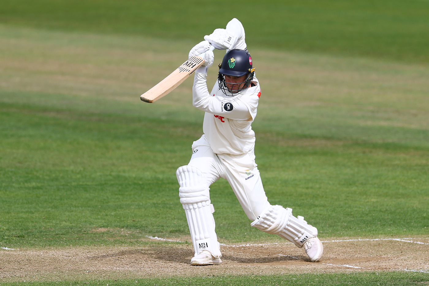 Bamber Battles for Bears as Glamorgan Dominates