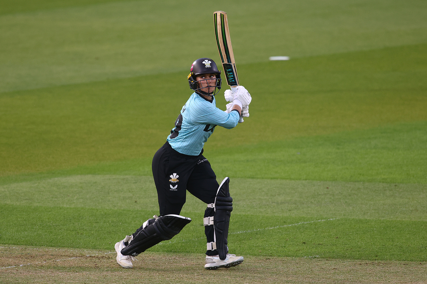 Cricket News Bulletin