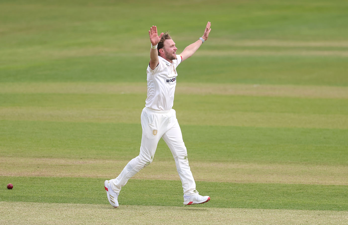 Cook And Snater Demolish Leicestershire For Just 60