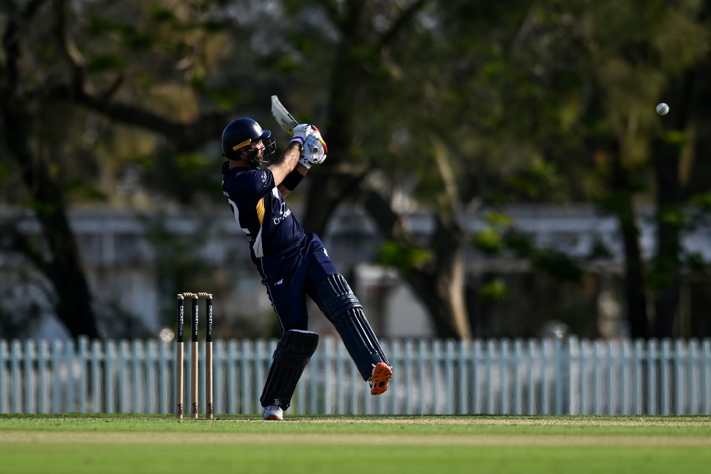 Maxwell Open To Victoria Stint Despite ODI Retirement