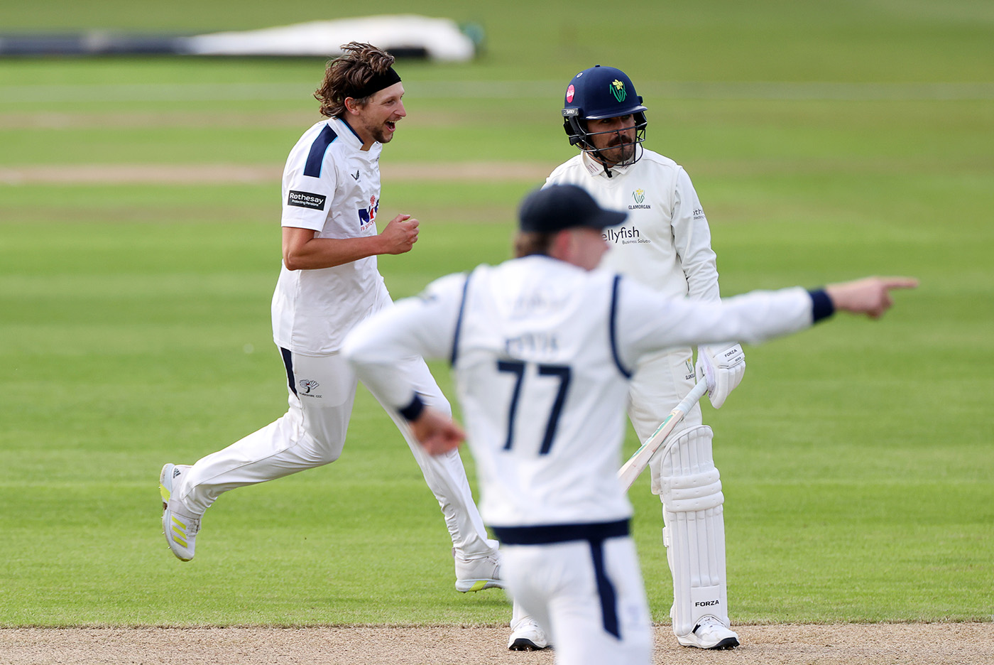 White Leads Yorkshire Fightback Against Somerset